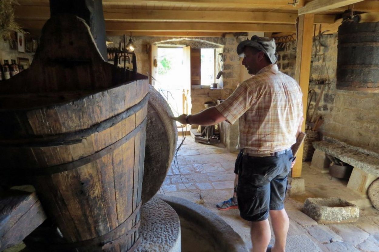 Olive oil museum