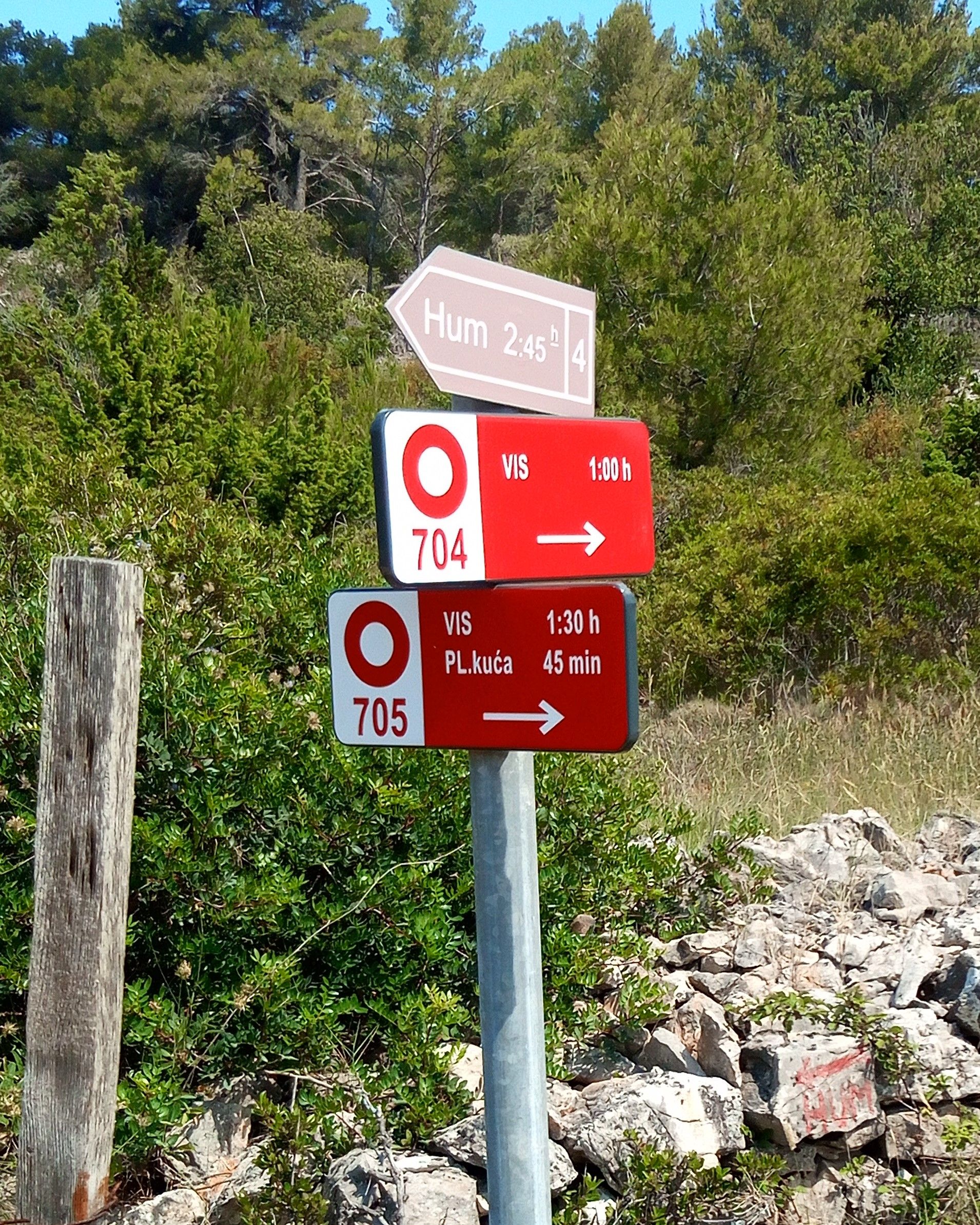  Walking and Sailing Vis 